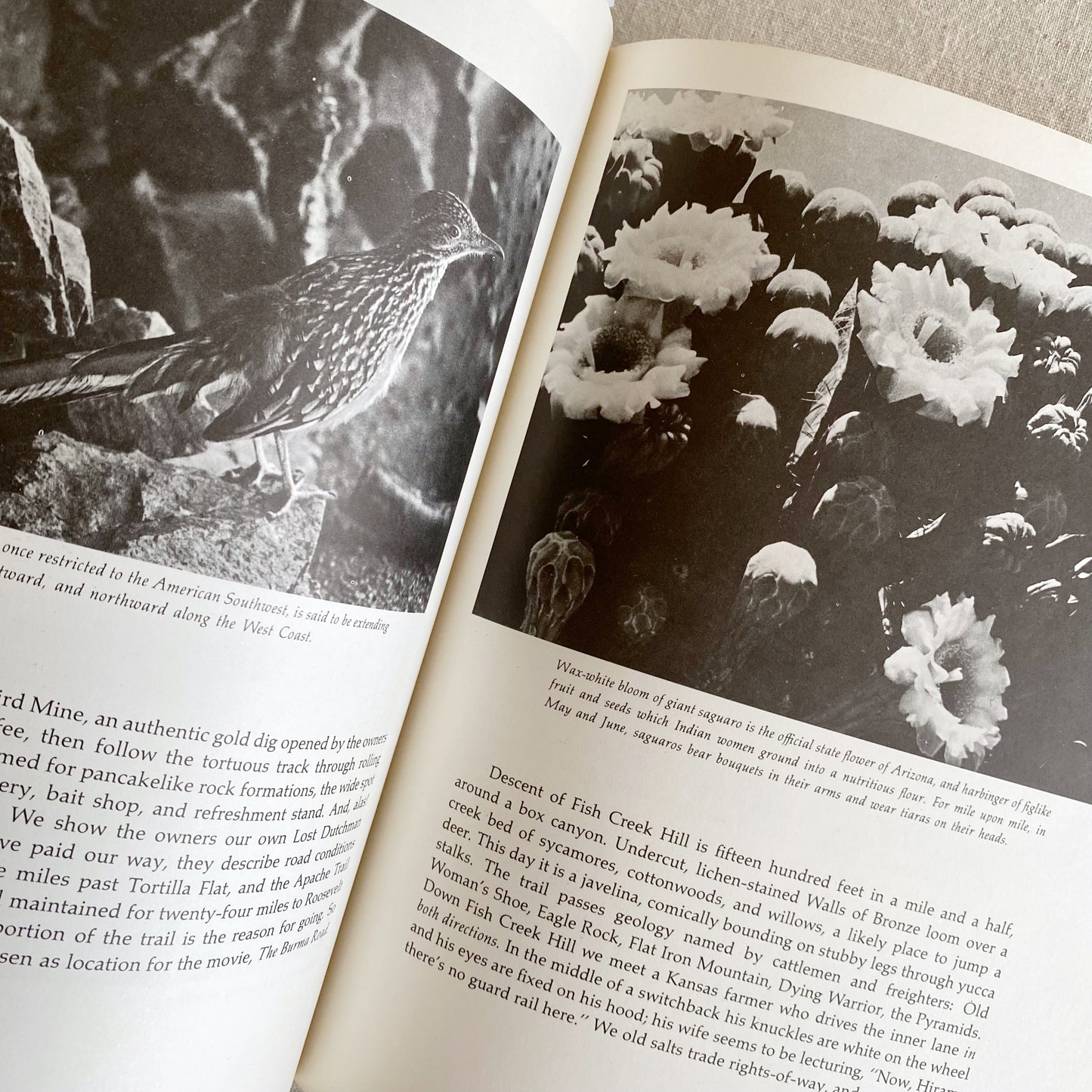 Book: Arizona the Beautiful
