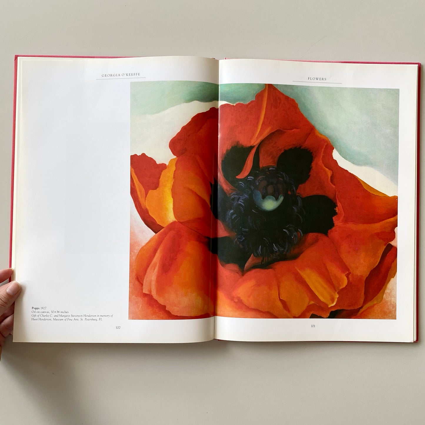 Book: Georgia O’Keeffe, by Maria Costantino