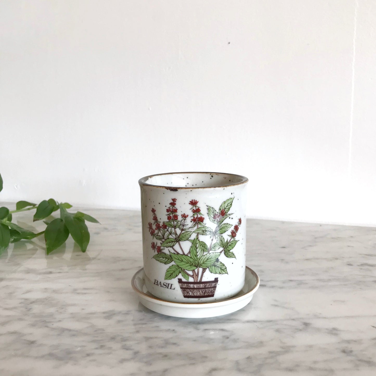 Vintage Ceramic  “Basil” Planter, Japan