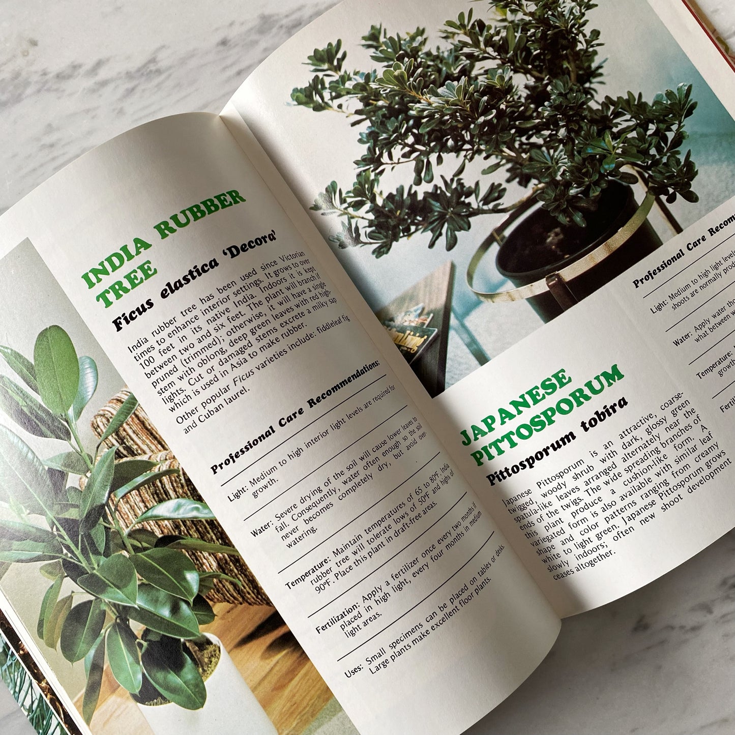 Book: Professional Guide to Green Plants (1976)