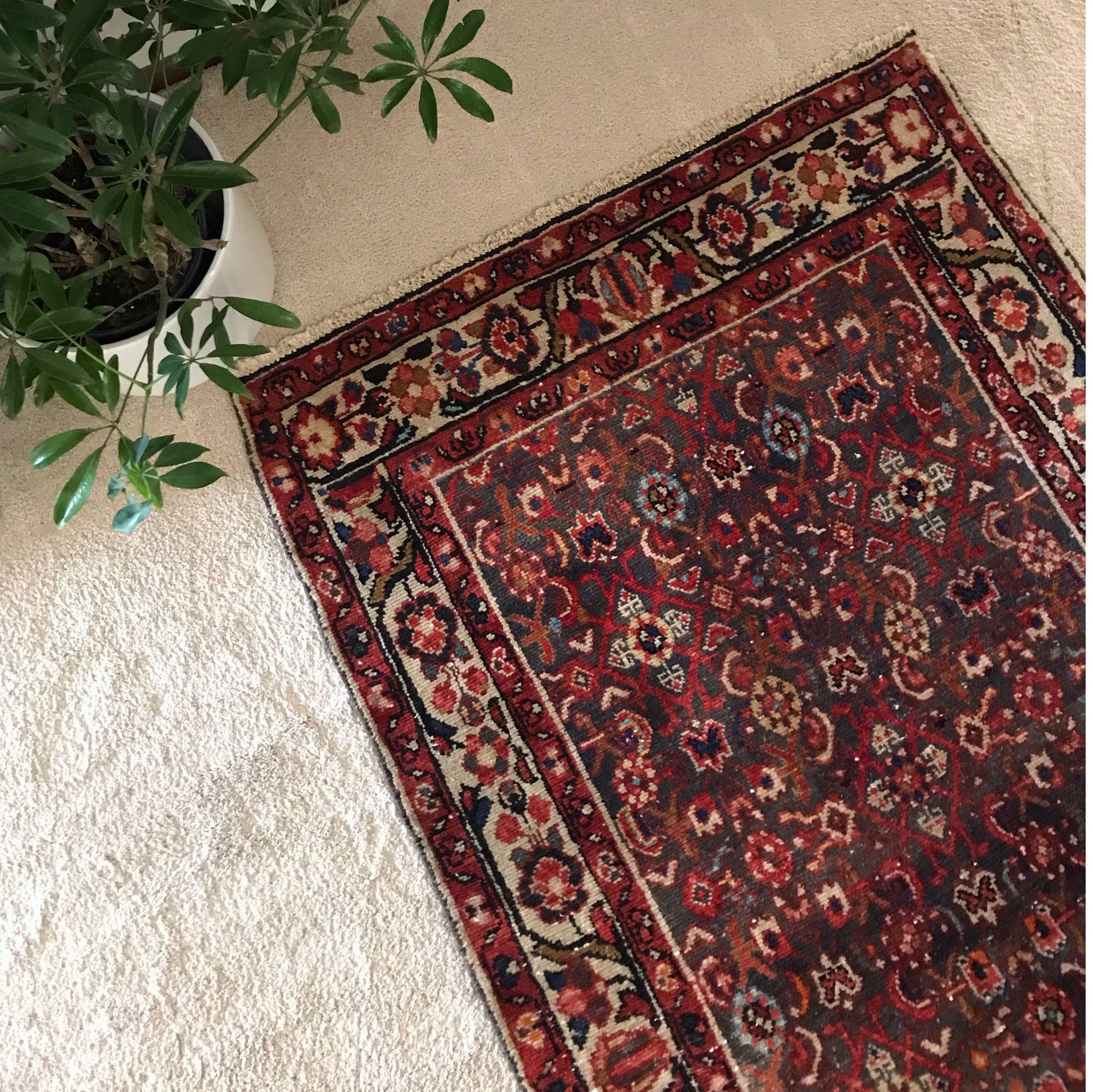"MAGGIE" Runner Rug (3.7 x 9.4)