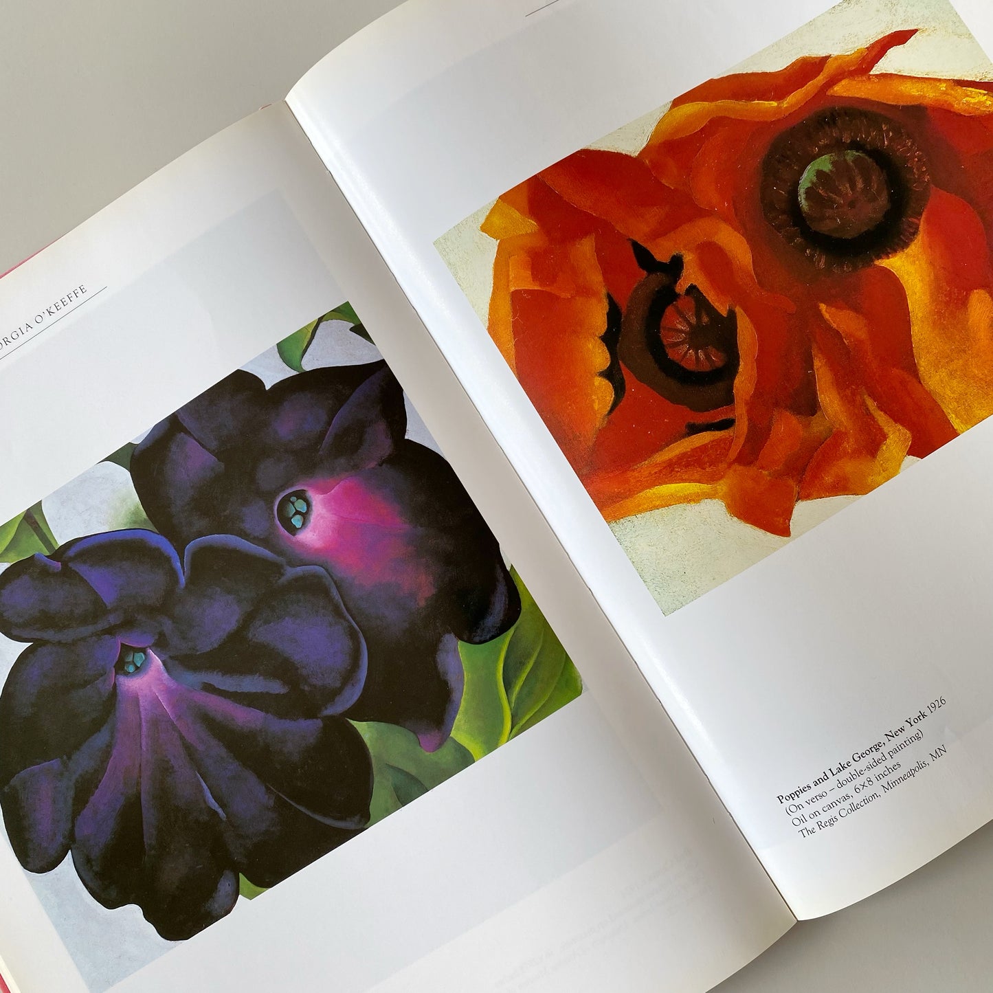 Book: Georgia O’Keeffe, by Maria Costantino