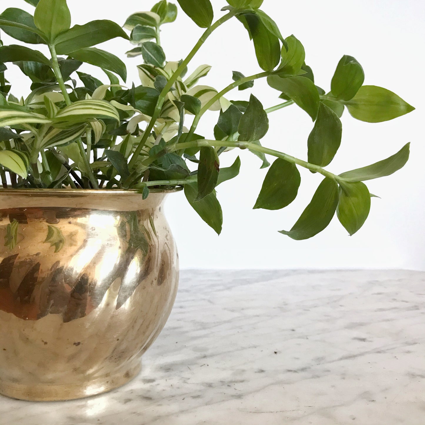 Vintage Brass Planter with Swirled Pattern