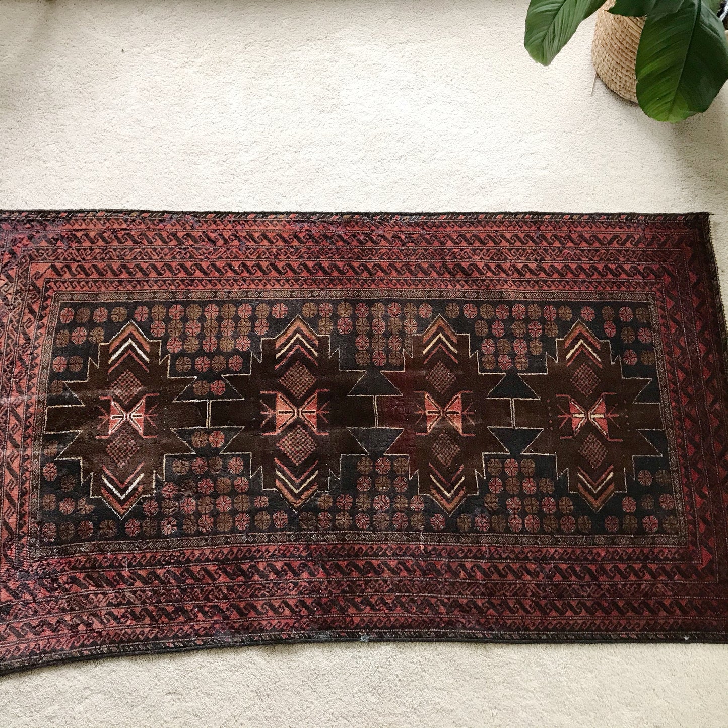 "MABEL" (3.10 x 6.5)