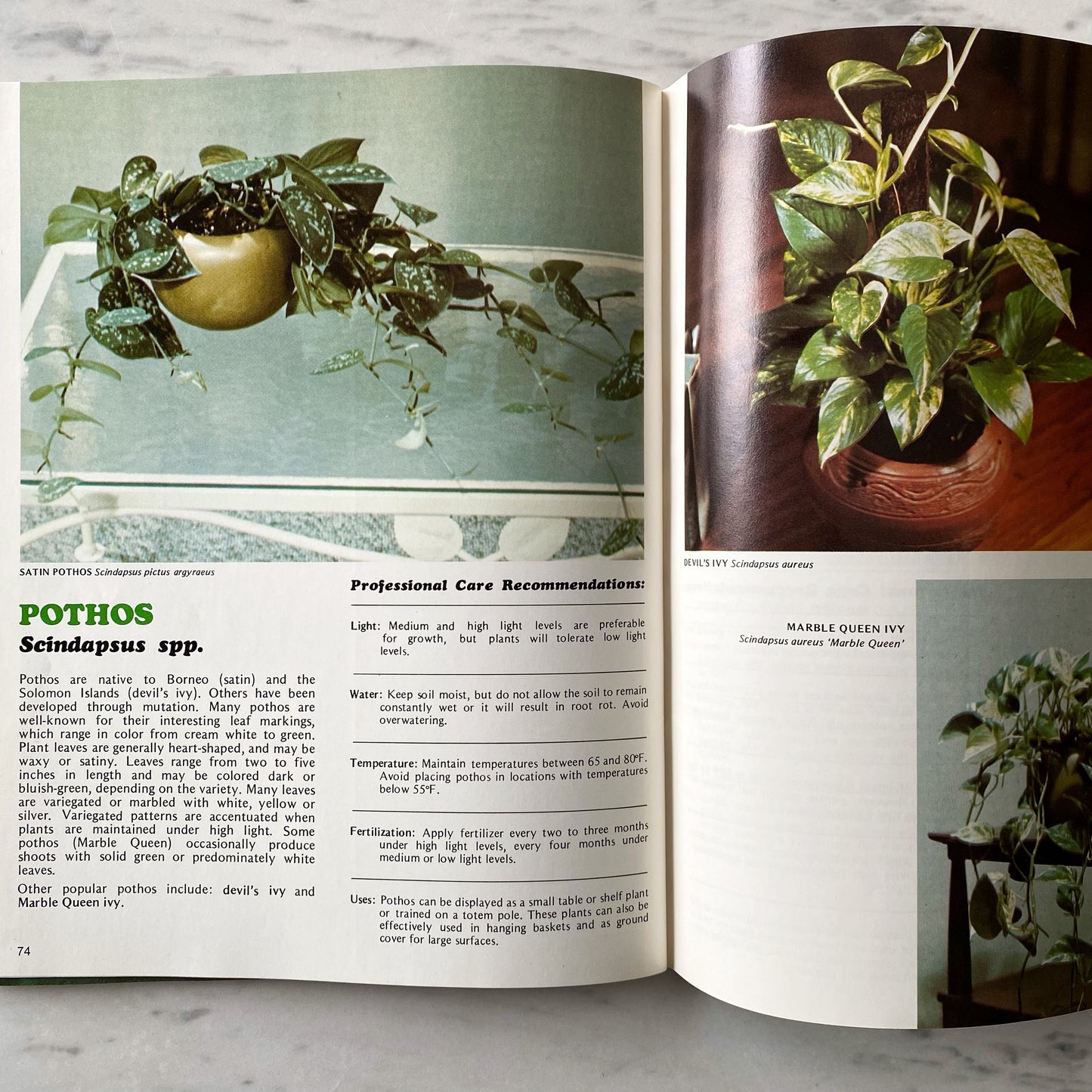 Book: Professional Guide to Green Plants (1976)