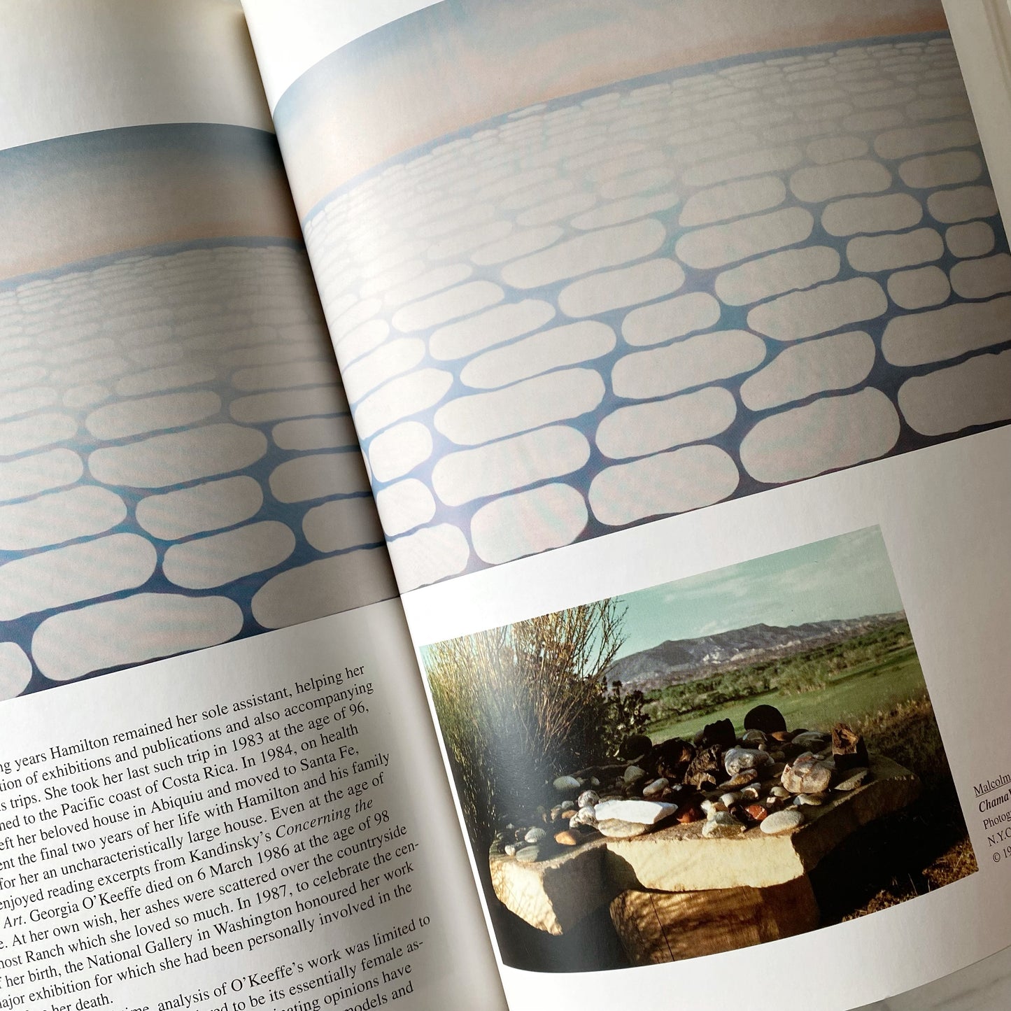 Book: Georgia O'Keeffe: Flowers in the Desert