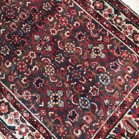 "MAGGIE" Runner Rug (3.7 x 9.4)