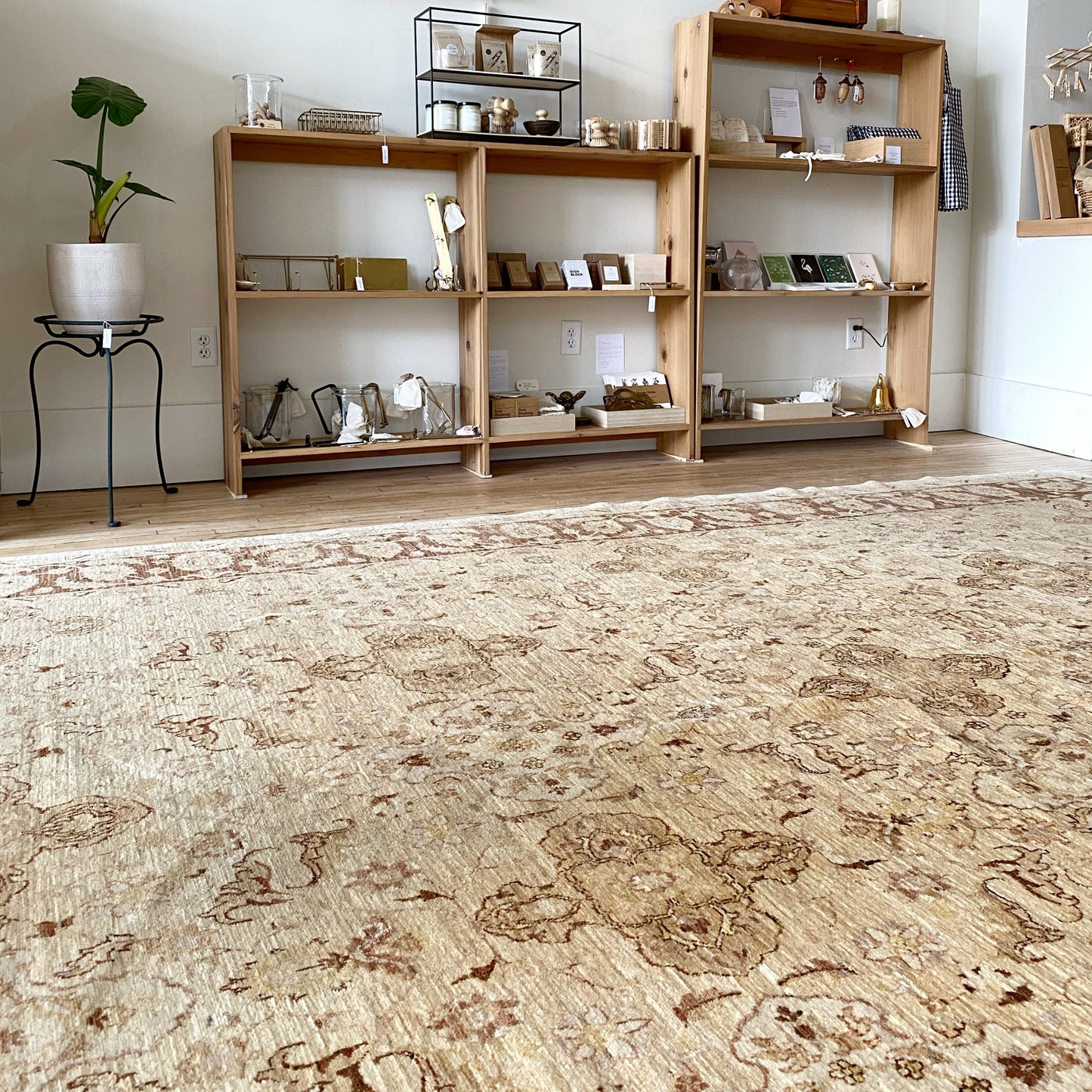 ”EMILY” Hand-knotted Wool Rug, 9 x 12