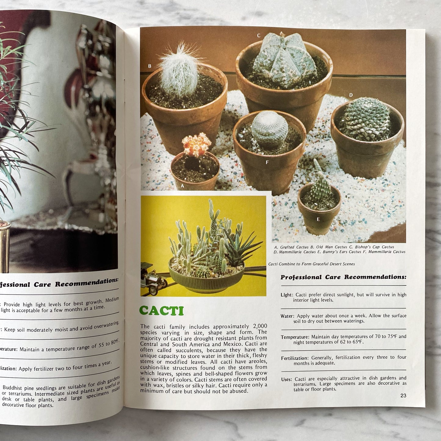 Book: Professional Guide to Green Plants (1976)
