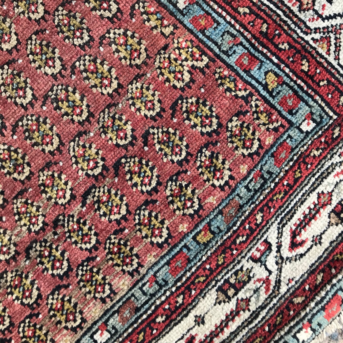 “LONNY” Antique Persian Runner (16.4 x 3.4)