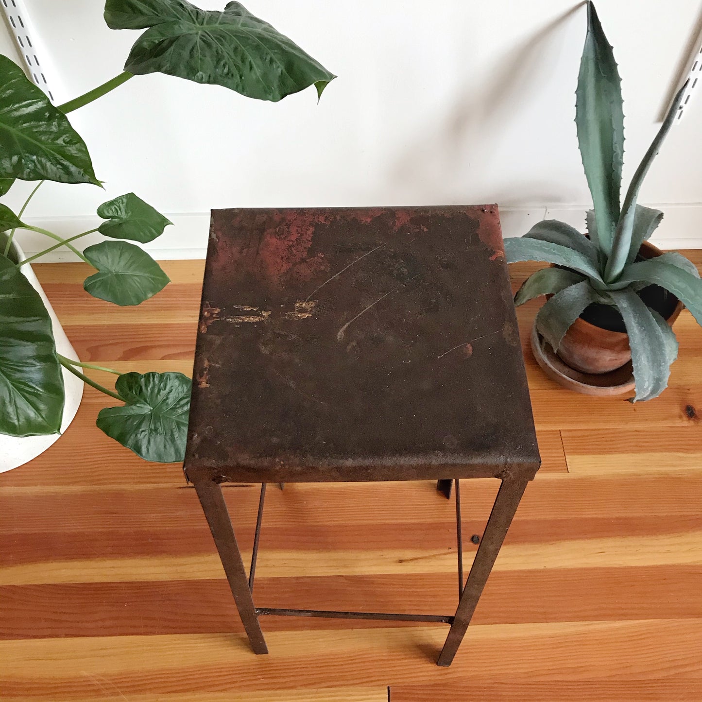 Vintage Minimal Industrial Plant Stand