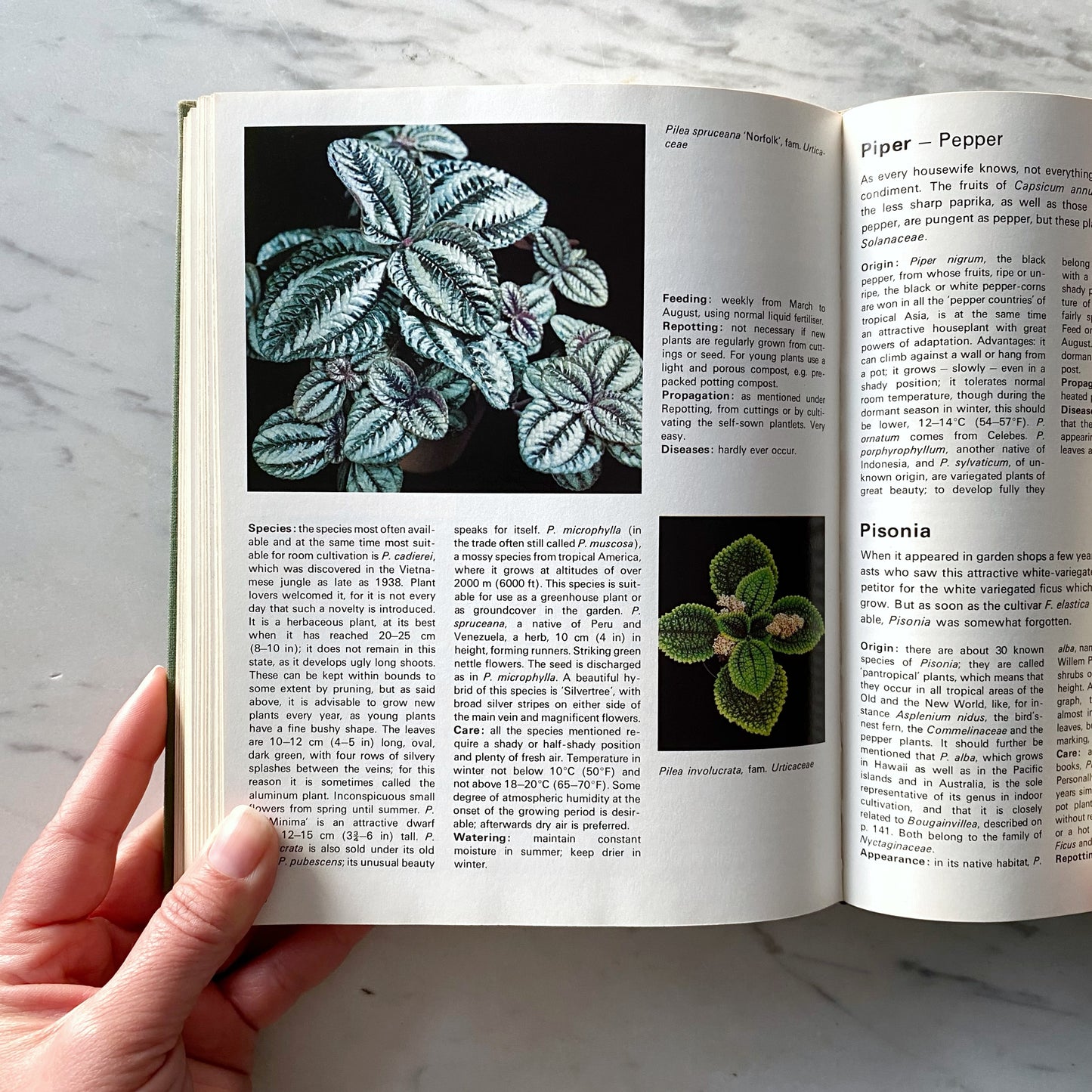 Book:  The Treasury of Houseplants (1974)