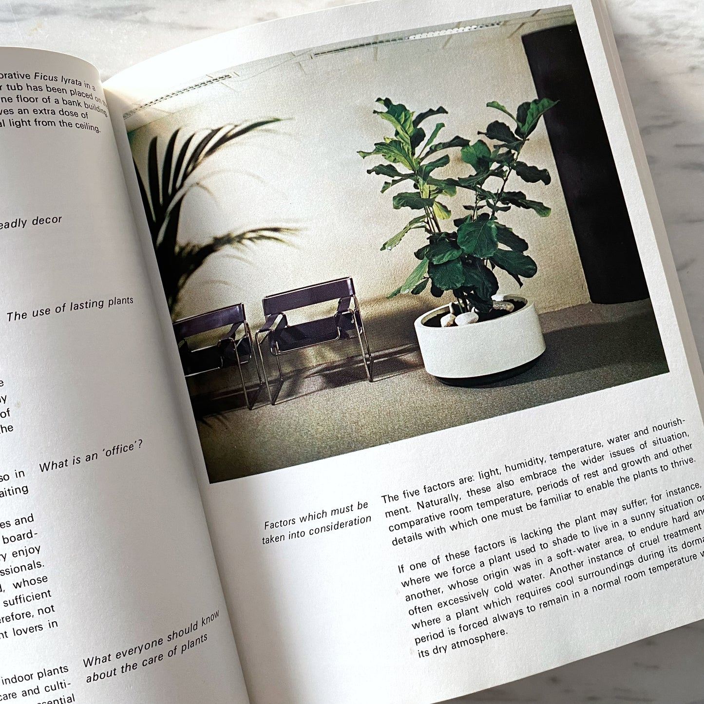 Book:  The Treasury of Houseplants (1974)