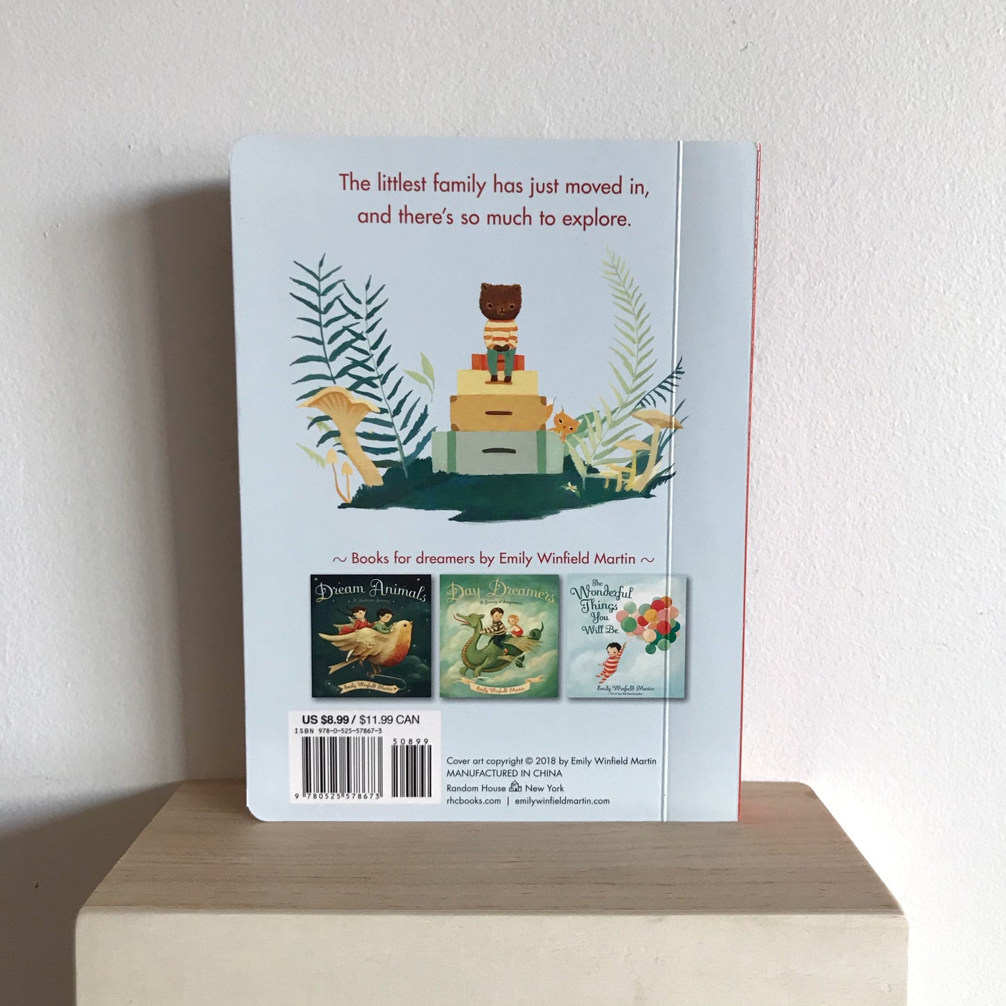 Book: The Littlest Family's Big Day