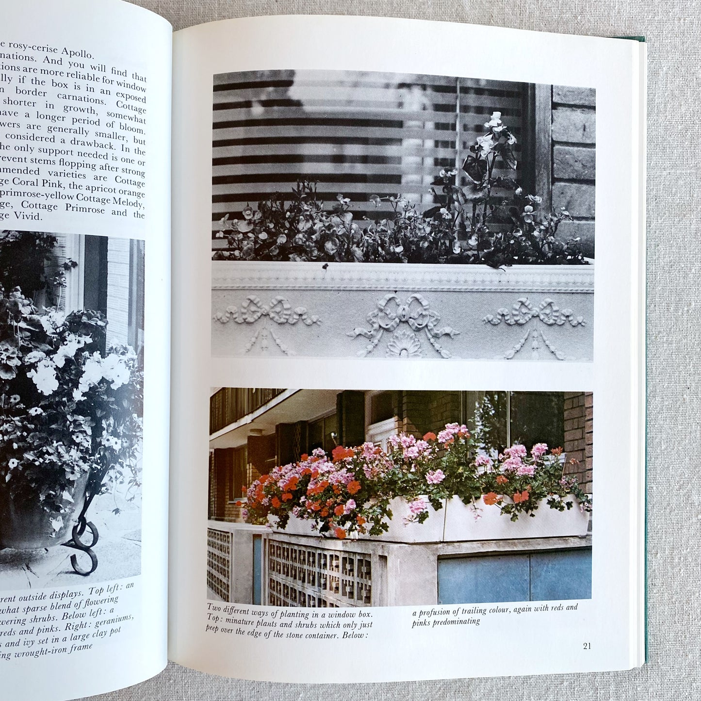 Book: Indoor Plants, 1973
