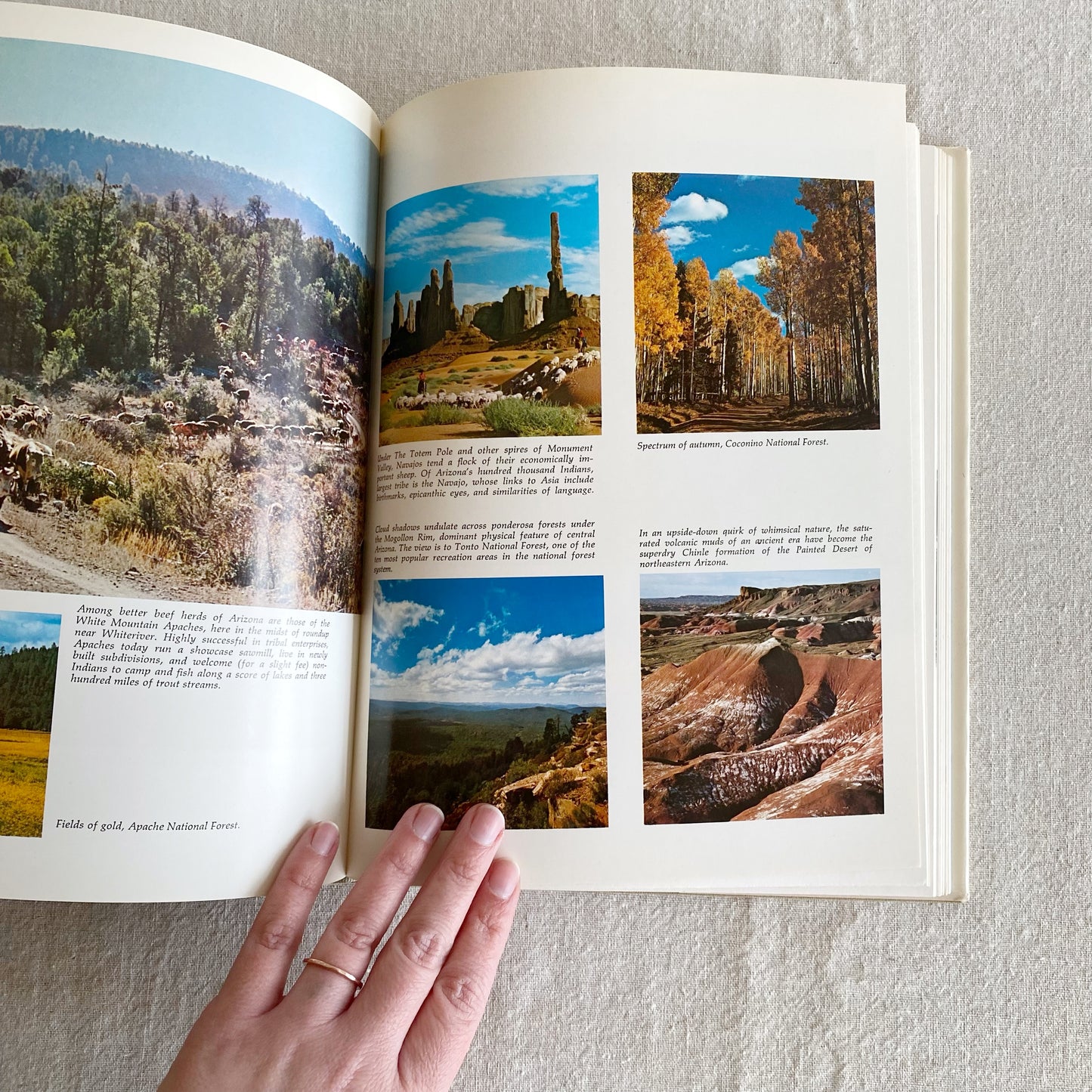 Book: Arizona the Beautiful