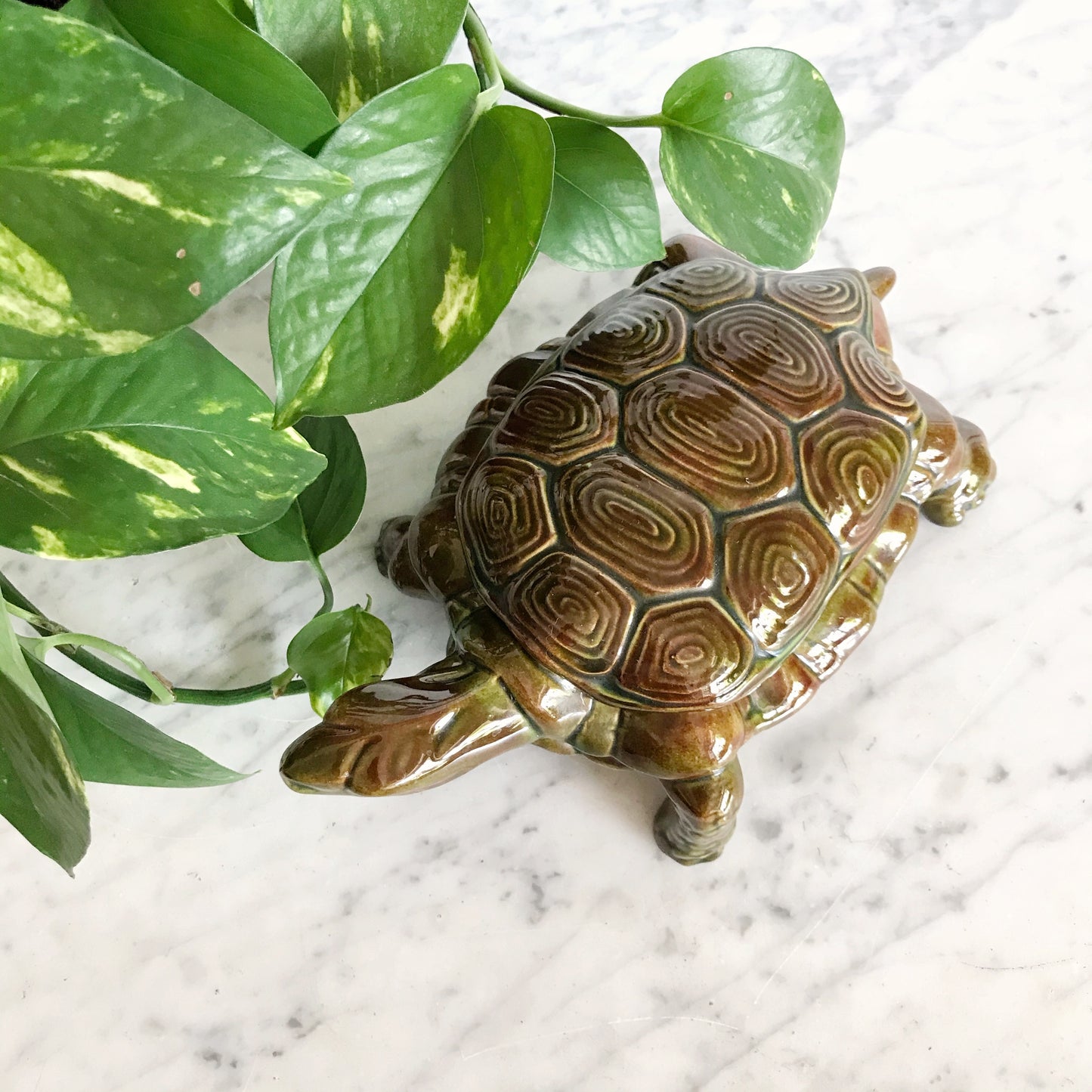 XL Vintage Ceramic Turtle Box