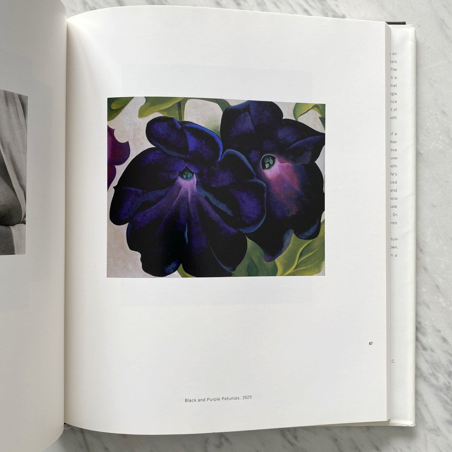 Book: Two Lives: A Conversation in Paintings & Photographs(1992)