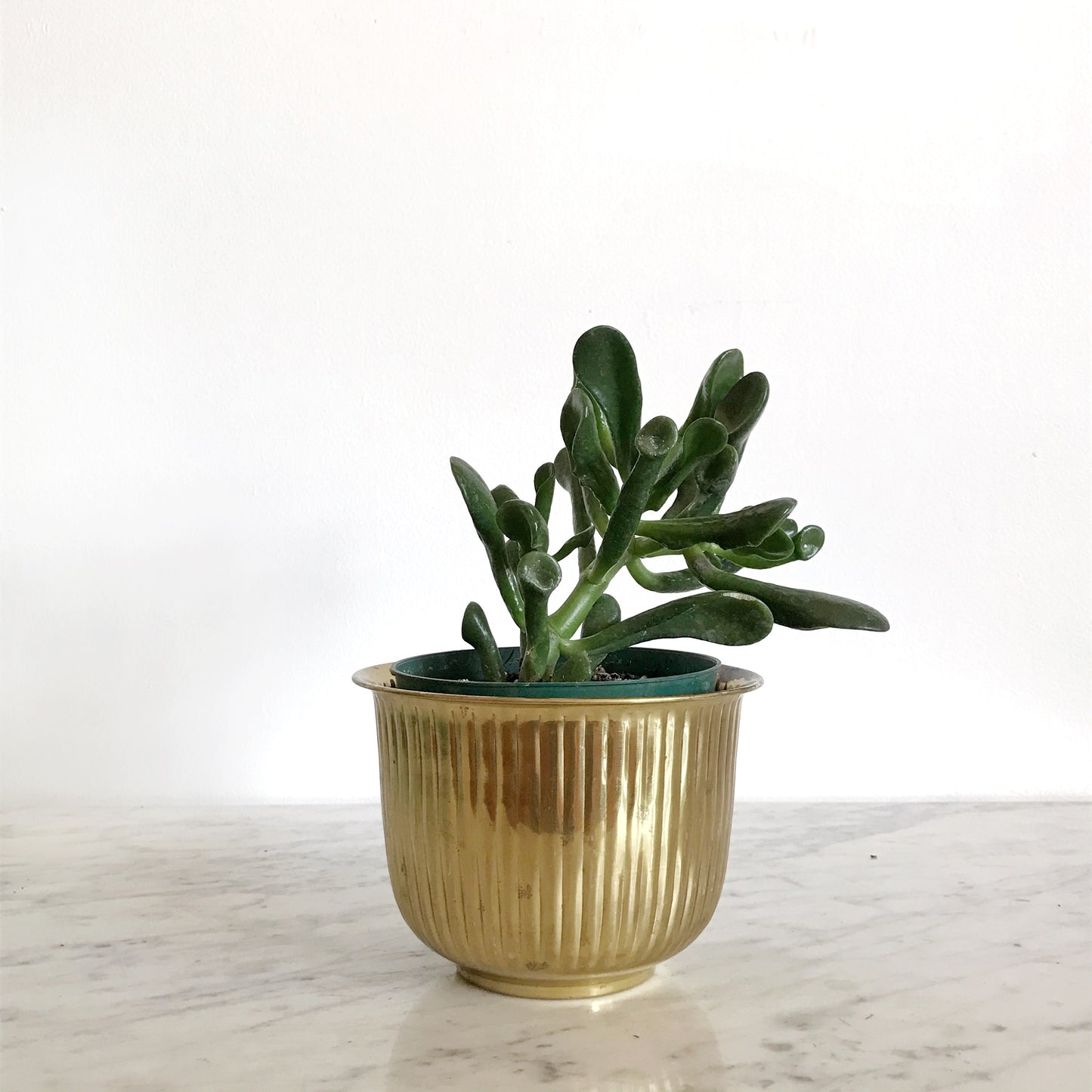 Small Vintage Ribbed Brass Planter