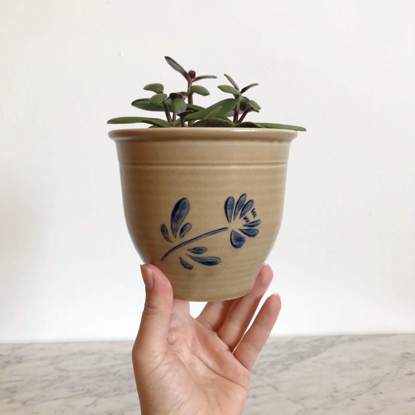 Vintage Pfaitzgraff Ceramic Planter