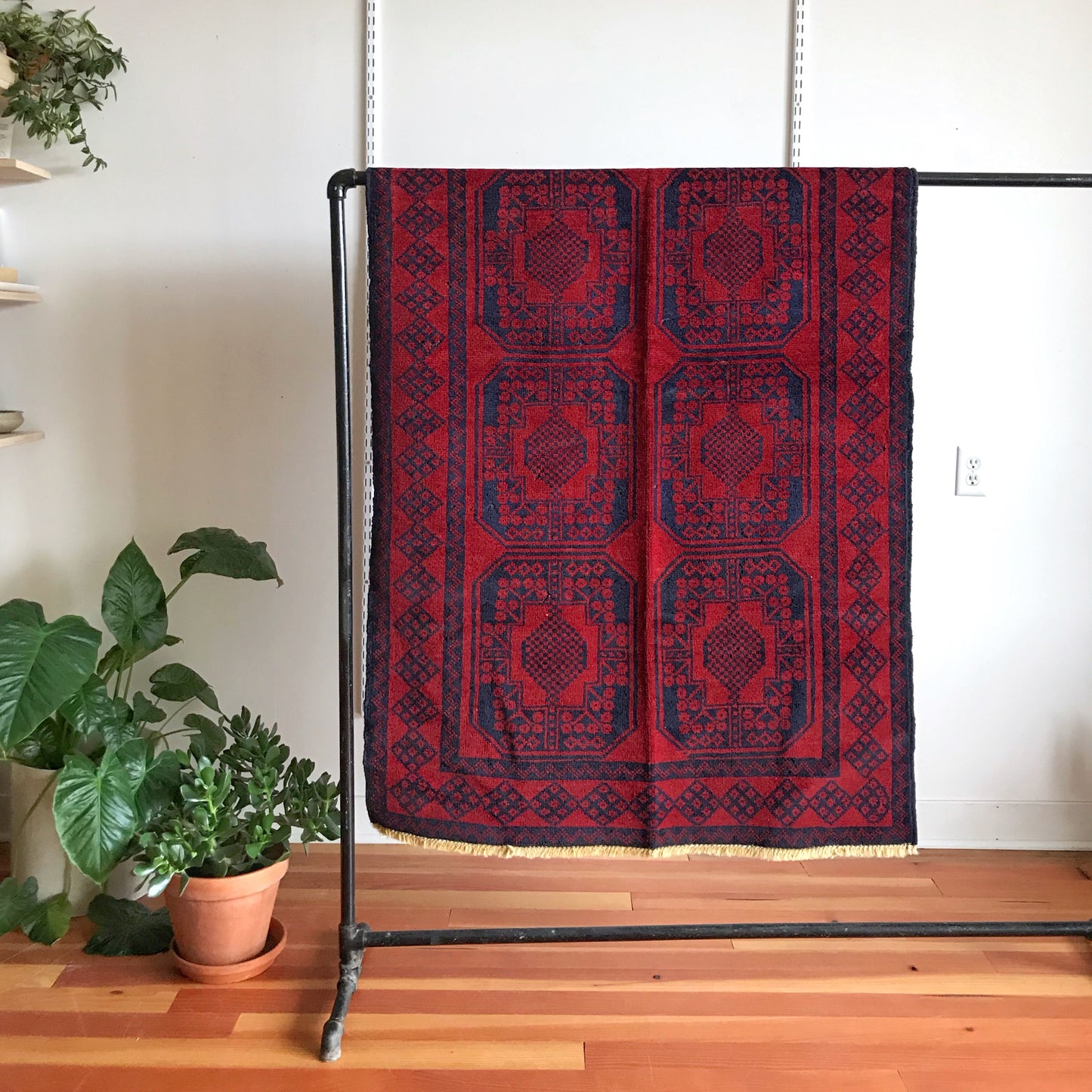 Wesley | Area Rug | 3 x 5.6