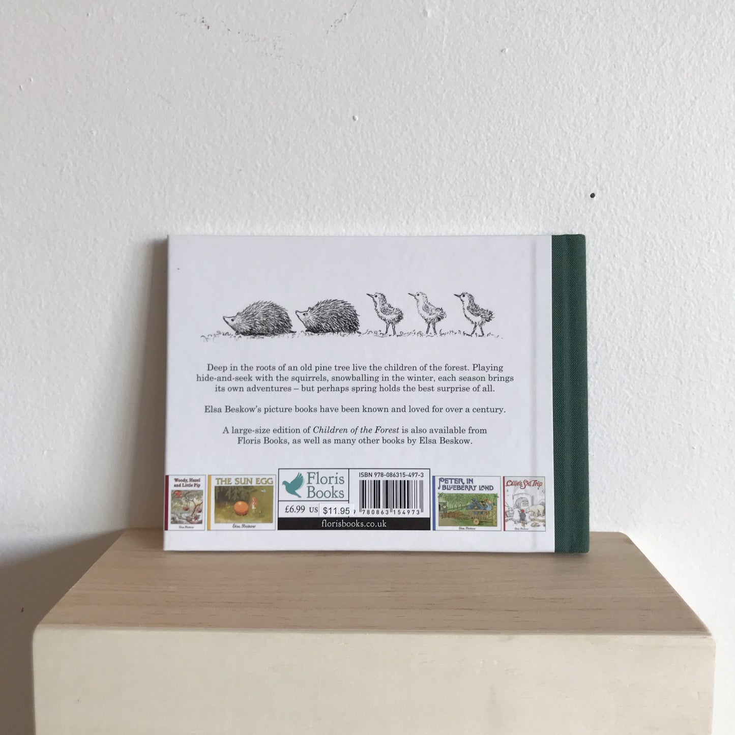 Children of the Forest, Mini Book