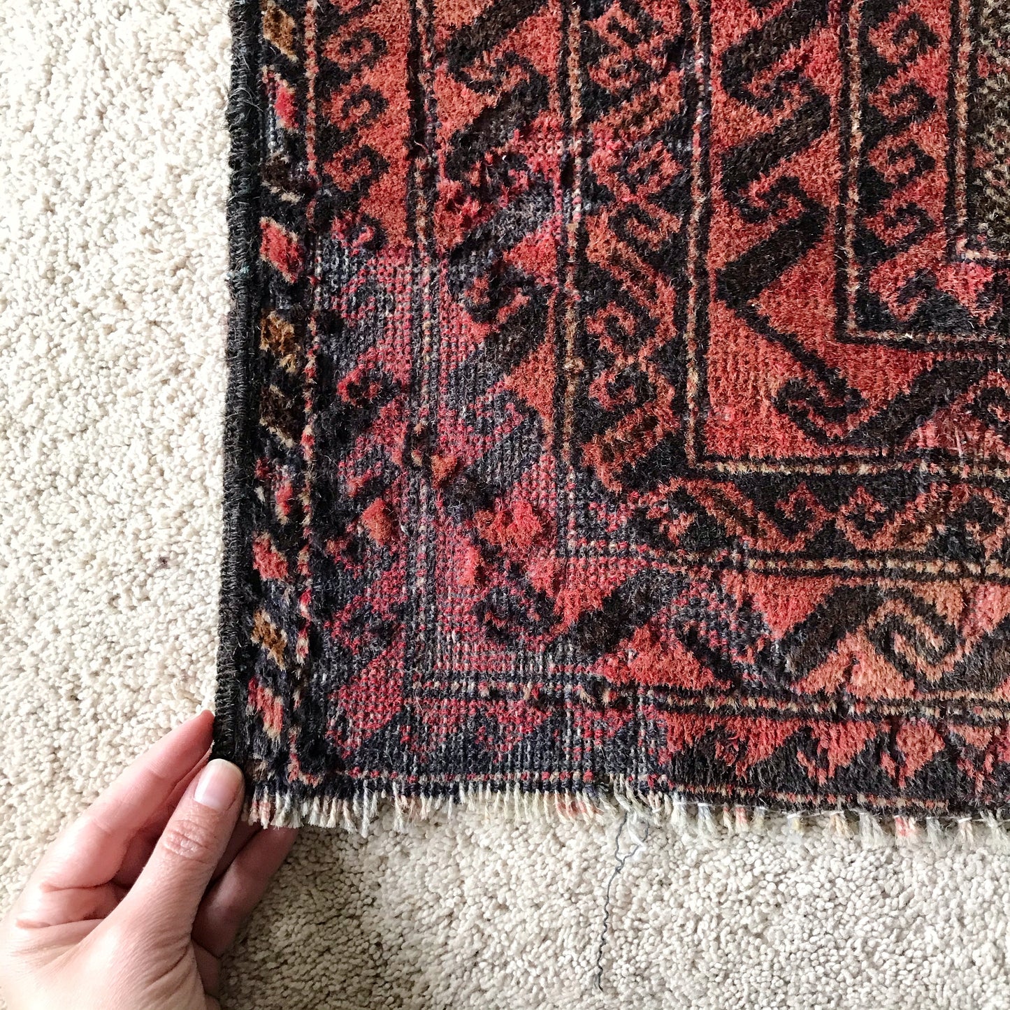 "MABEL" (3.10 x 6.5)