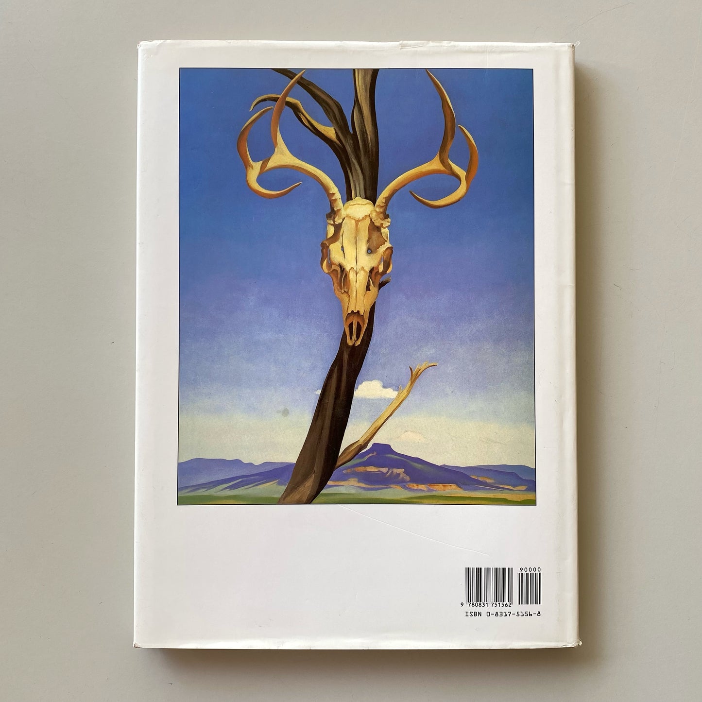 Book: Georgia O’Keeffe, by Maria Costantino
