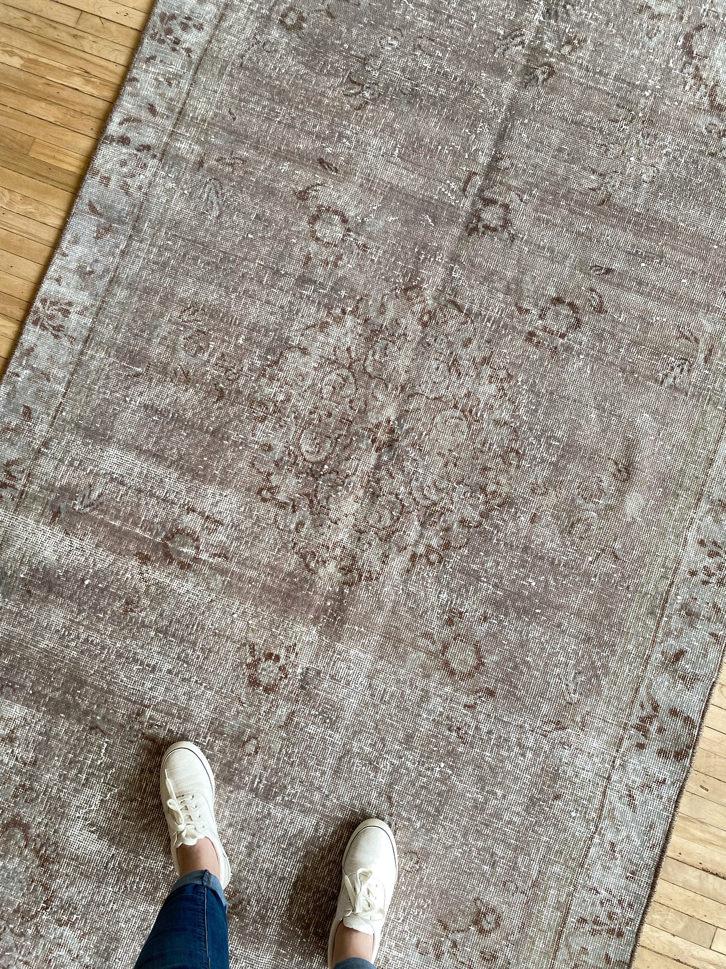 JOSEPHINE : Hand-knotted Wool Area Rug (4.8 X 8.6)