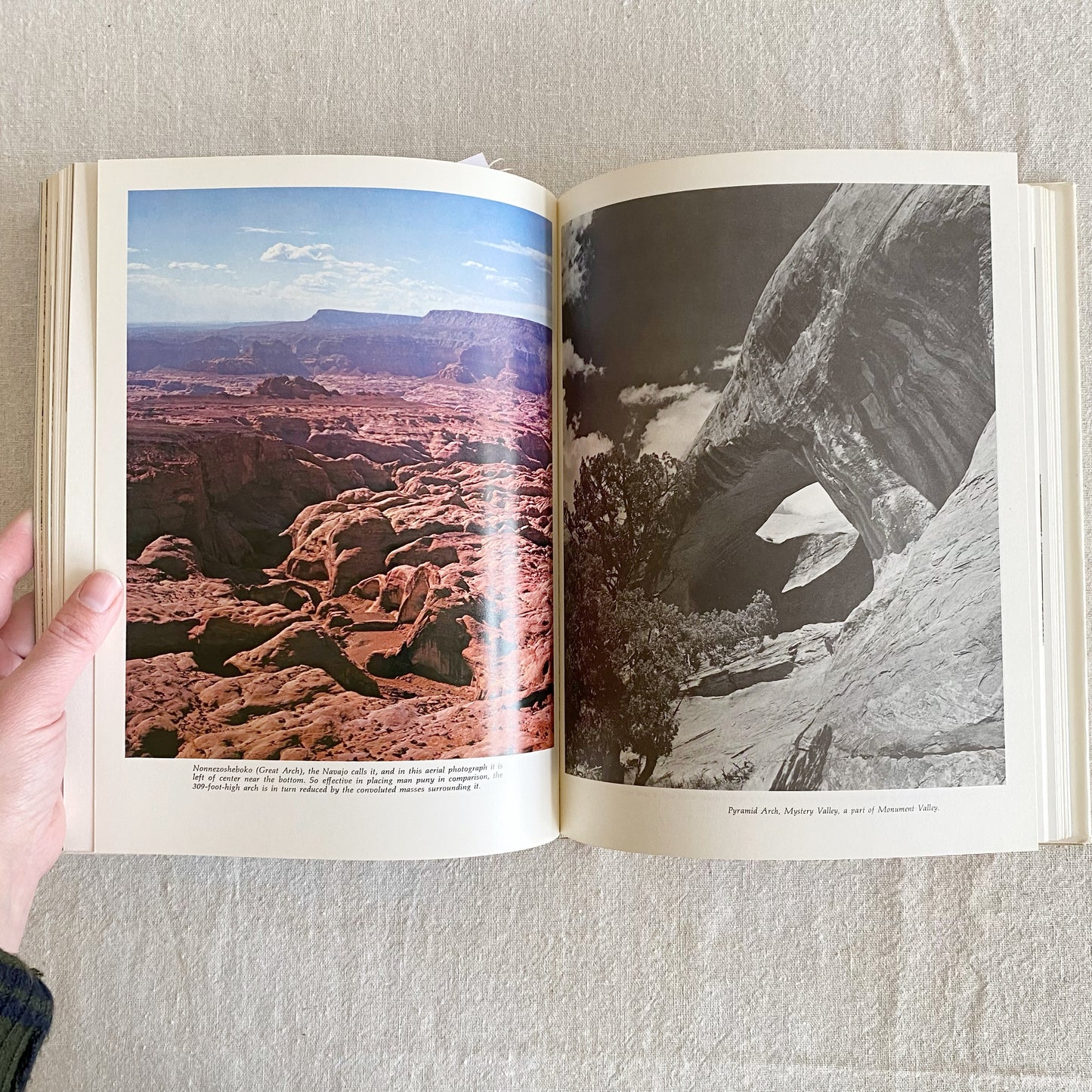 Book: Arizona the Beautiful