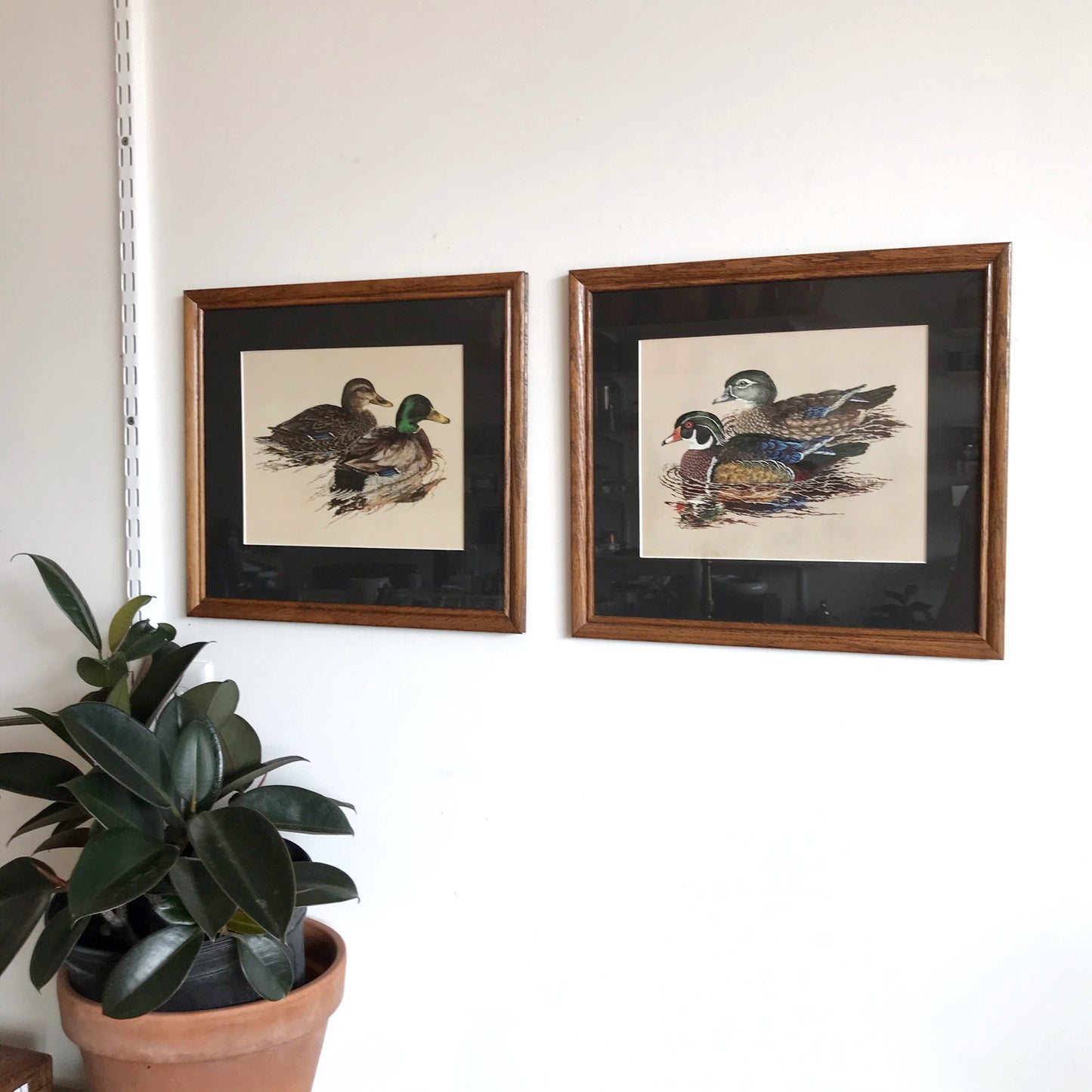 Pair of Vintage Framed Duck Prints
