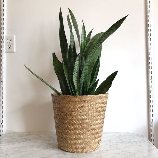 Large Vintage Woven Grass Planter Basket