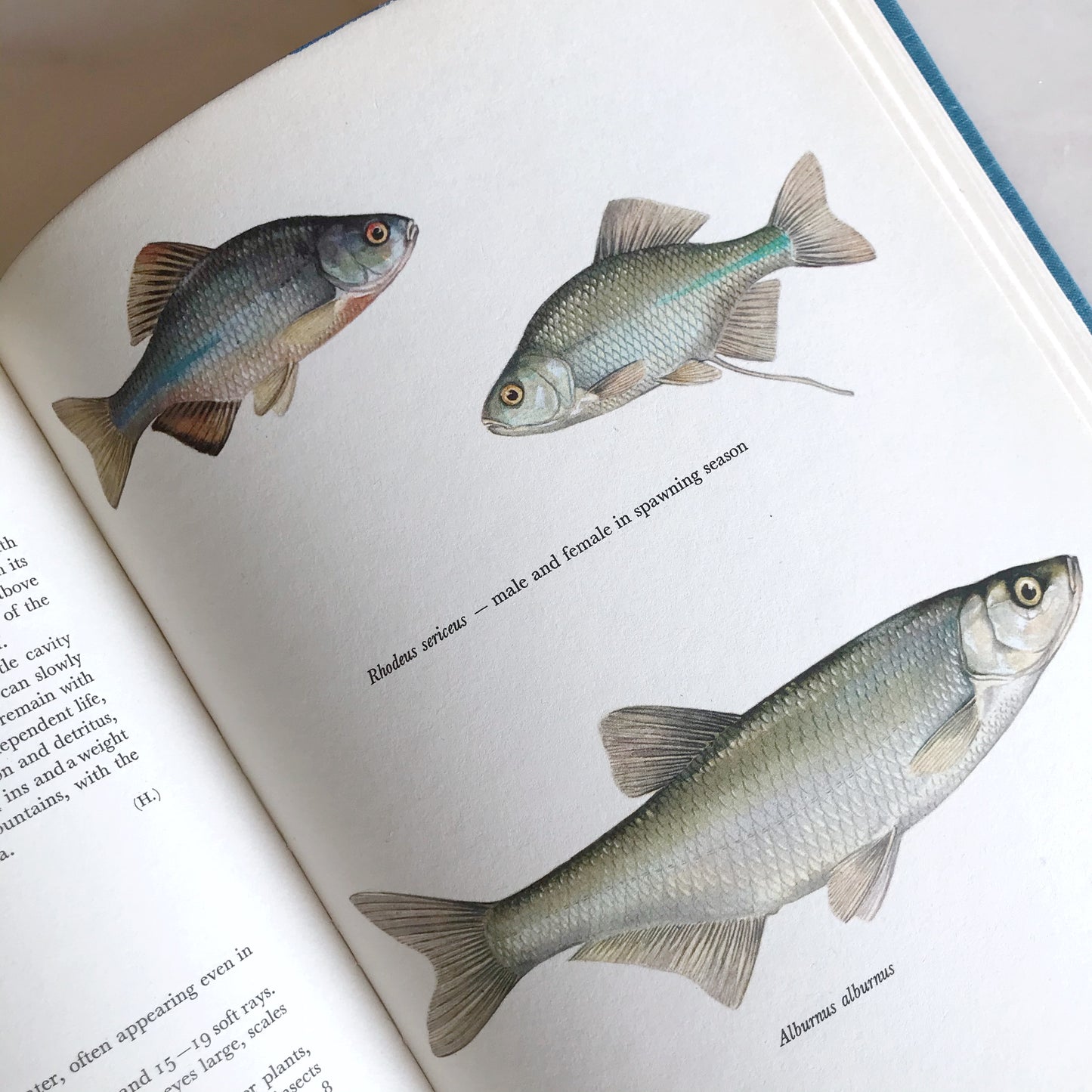 Book: Fresh-Water Fishes