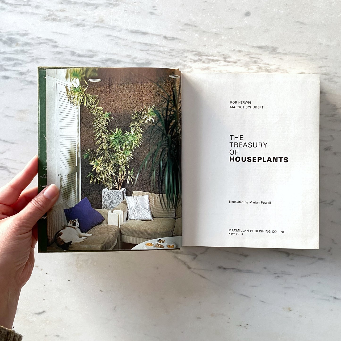 Book:  The Treasury of Houseplants (1974)