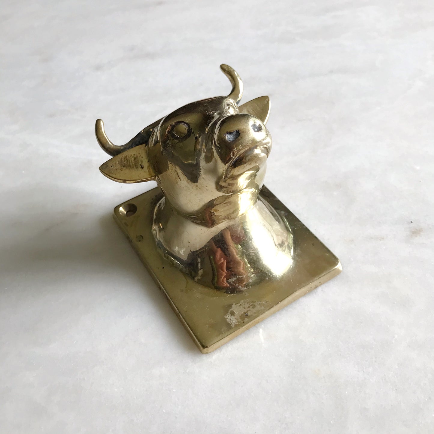 XL Vintage Brass Bull Wall Hook