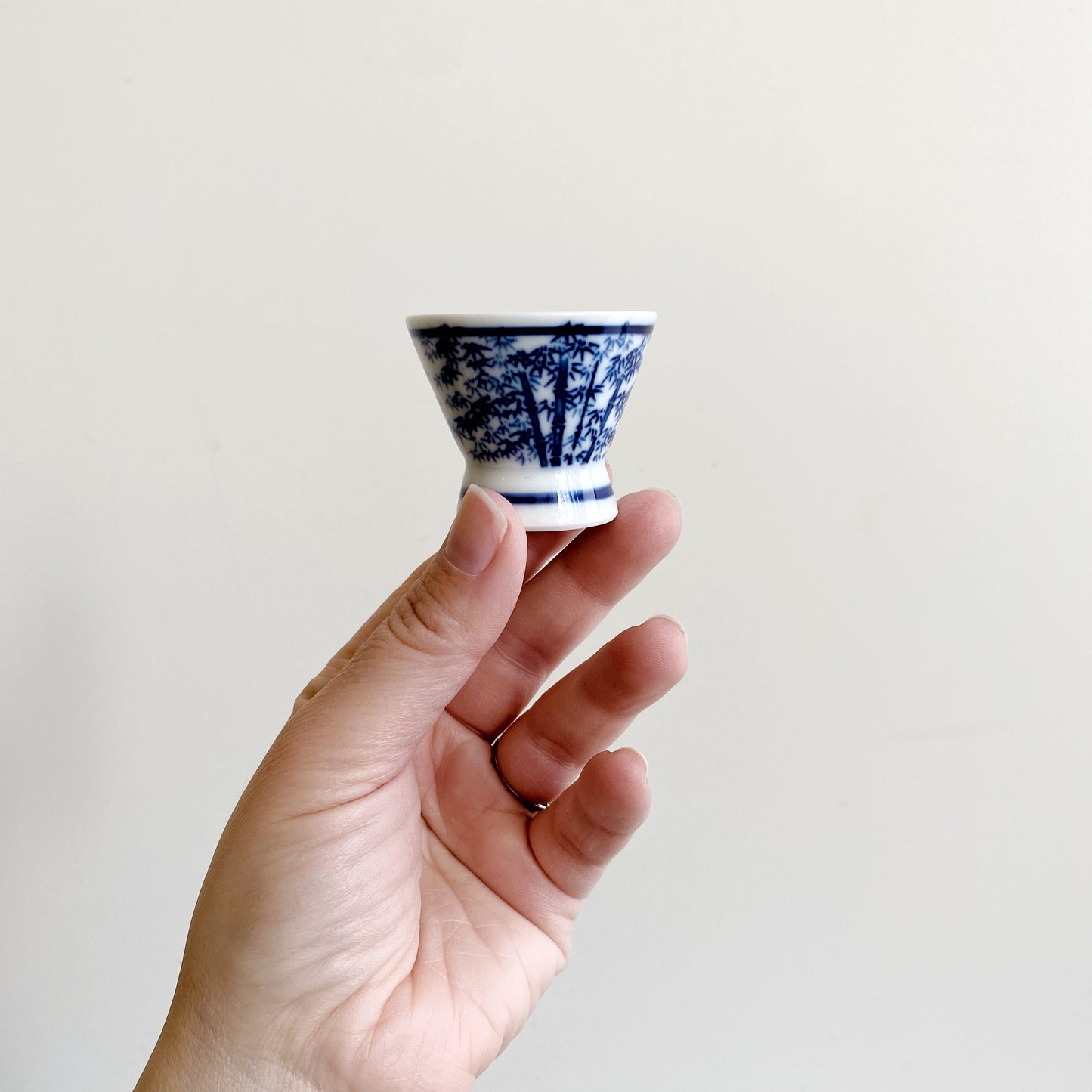 Vintage Porcelain Sake Set (5-piece)