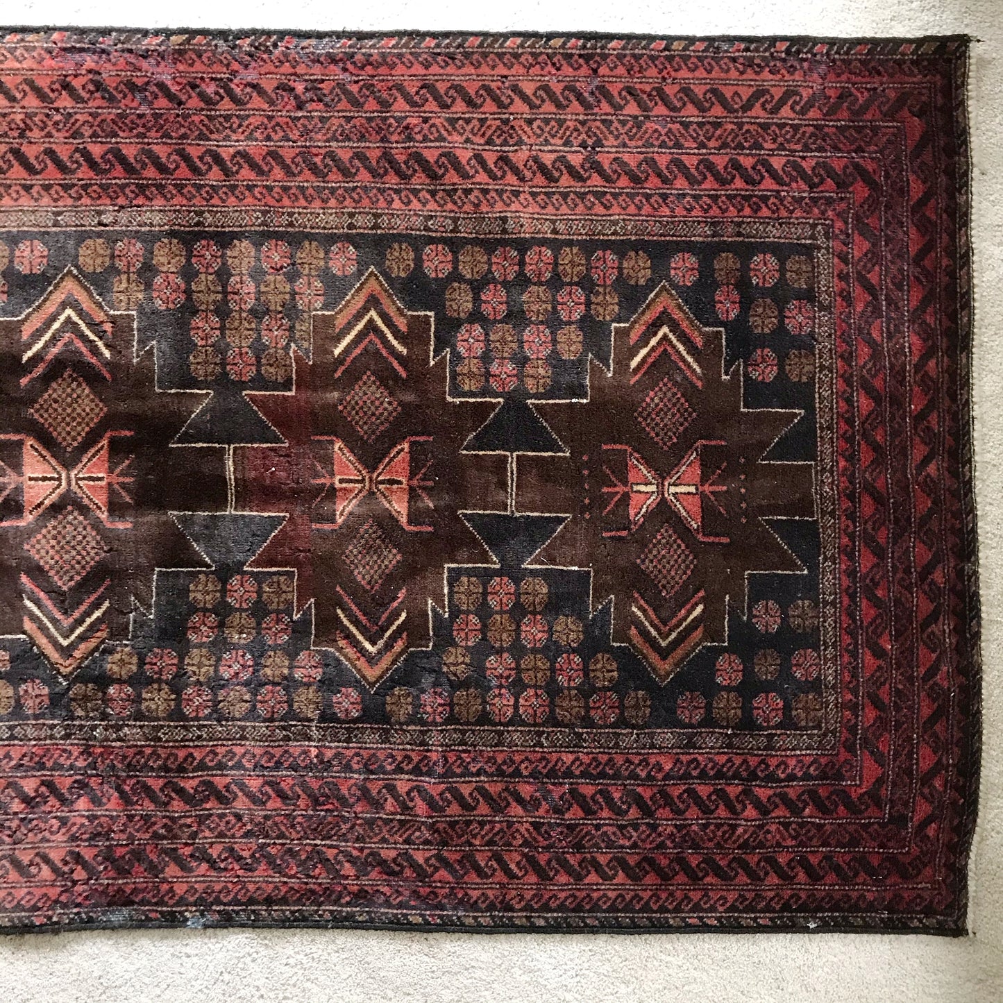 "MABEL" (3.10 x 6.5)
