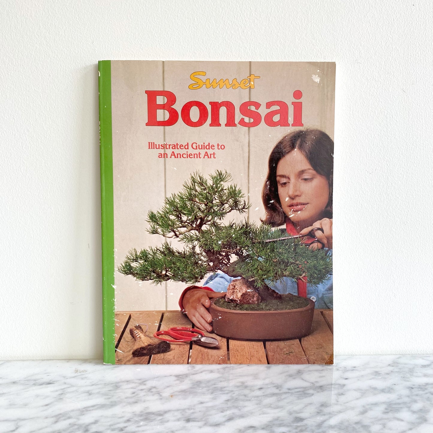 Book: Bonsai, An Illustrated Guide to the Ancient Art