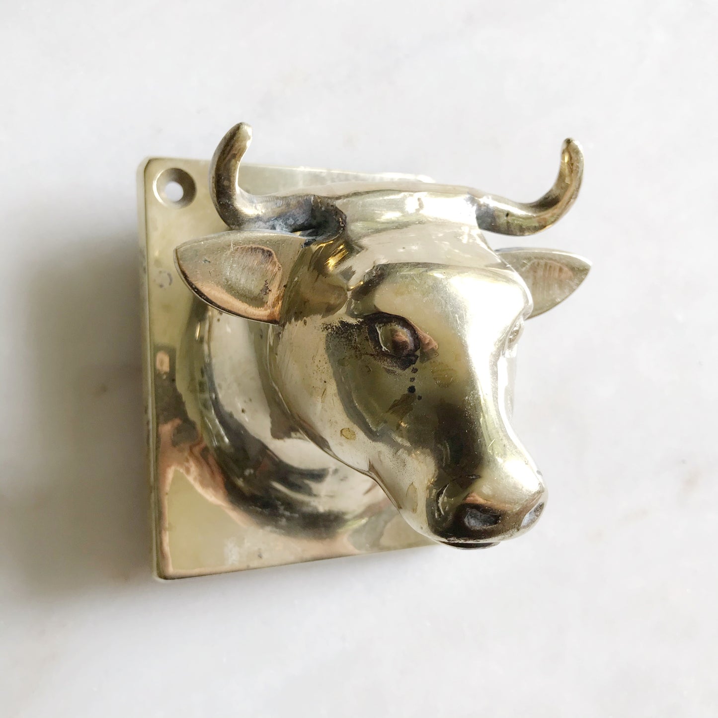 XL Vintage Brass Bull Wall Hook
