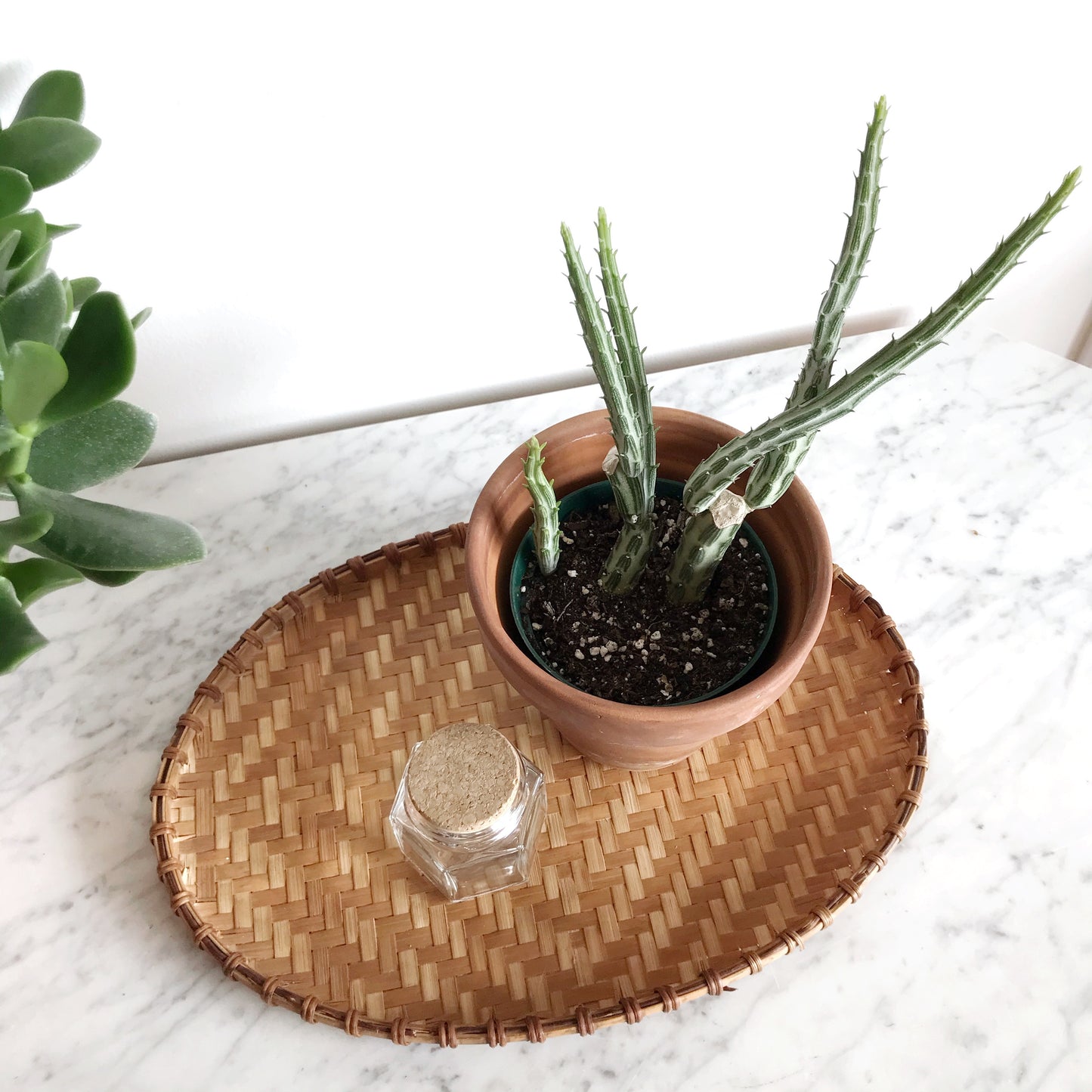 Vintage Oval Woven Tray