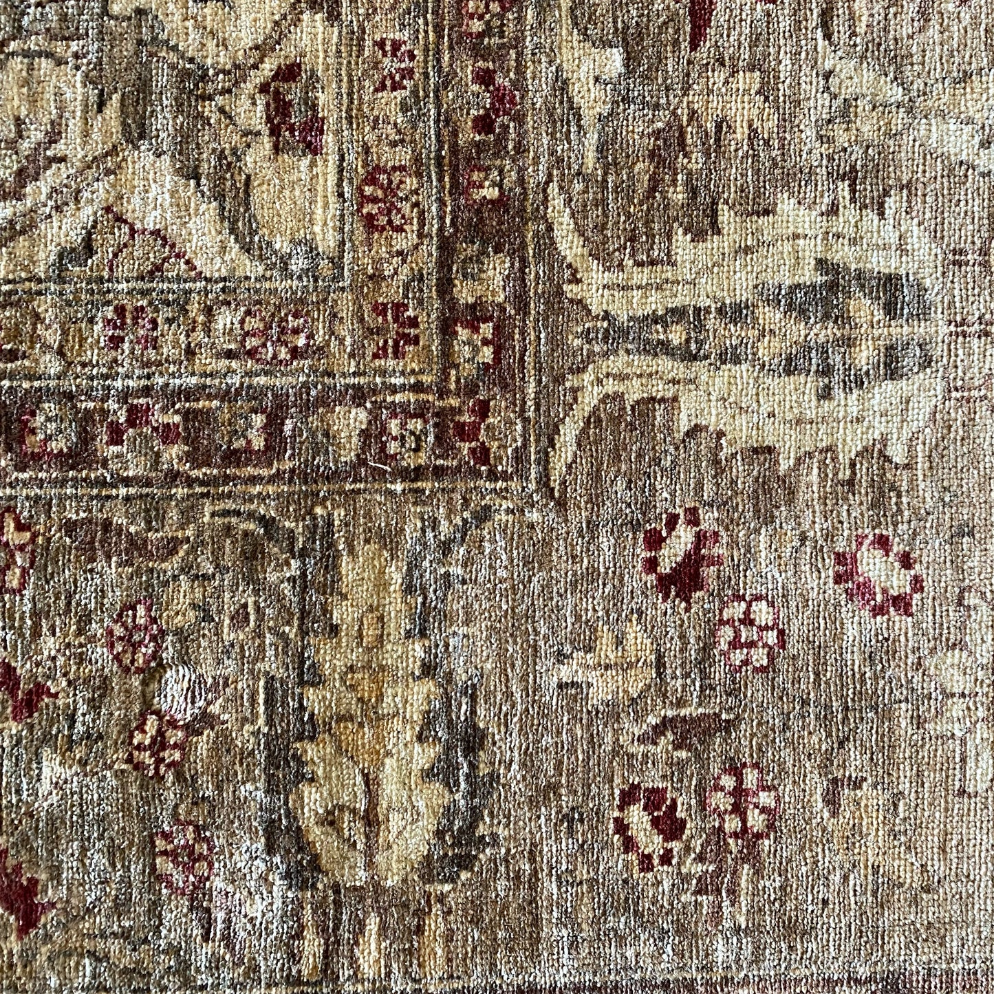 CICELY Hand-knotted Wool Area Rug (9'2" x 12'9")
