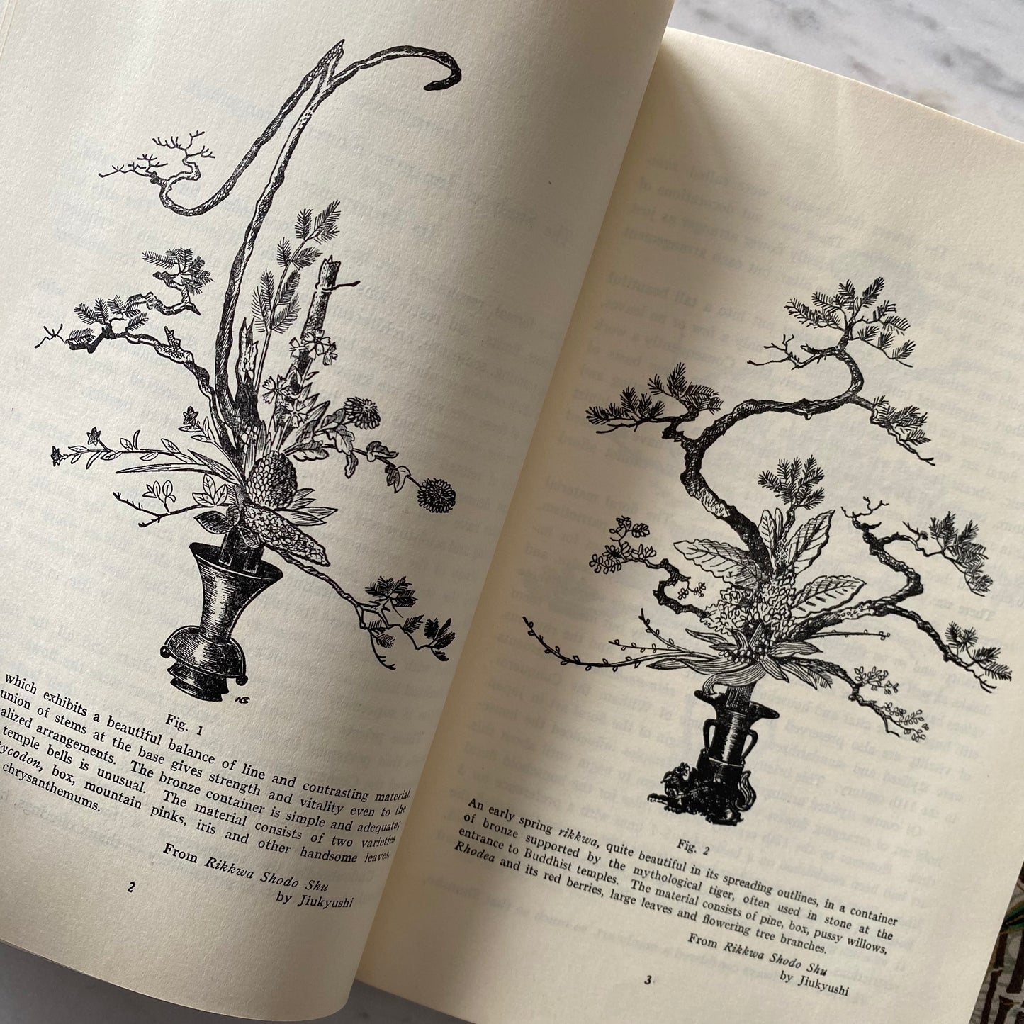 Book: Flower Arrangement Art of Japan (1960)