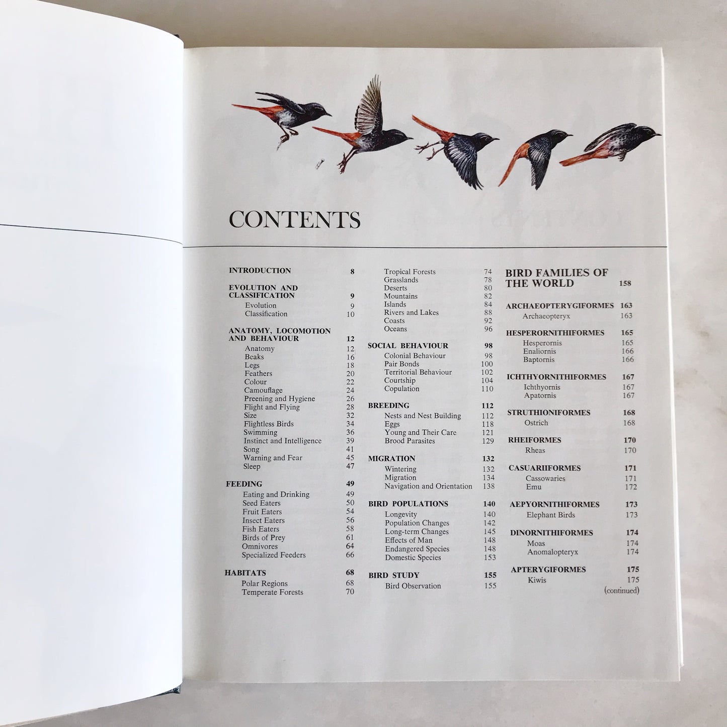 BIRDS: Their Life, Their Ways, Their World