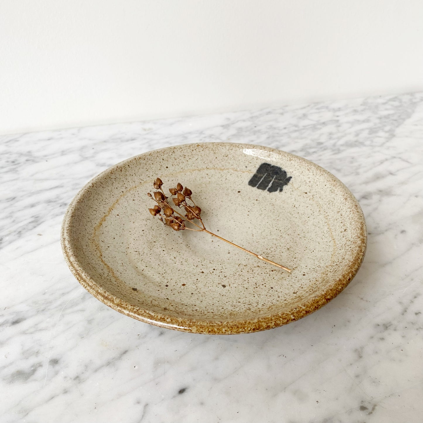 Smaller Pottery Plate with MN Zoo Moose