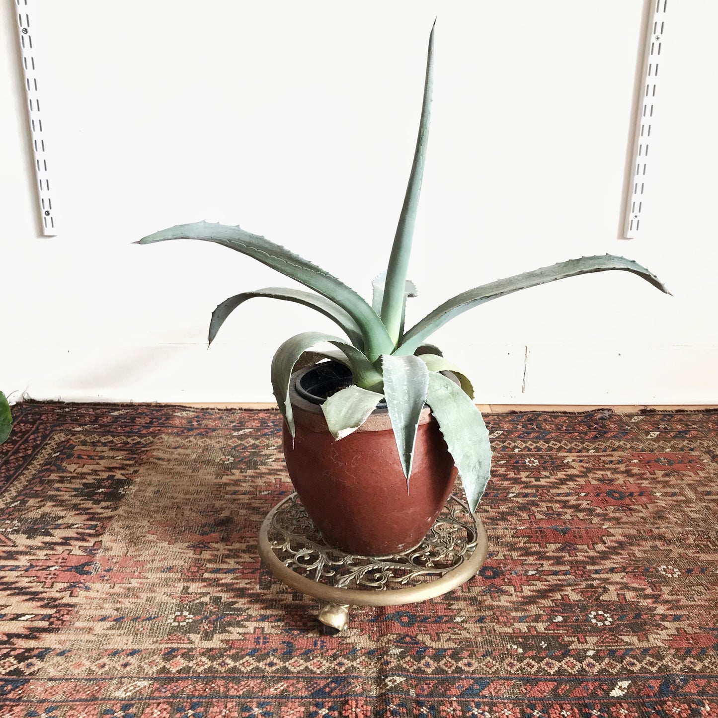 Vintage Decorative Plant Stand on Casters