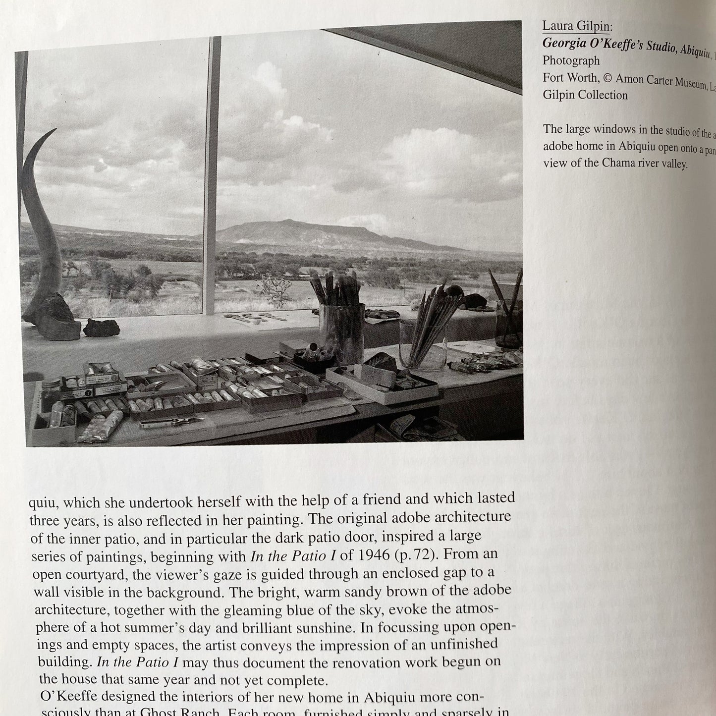 Book: Georgia O'Keeffe: Flowers in the Desert